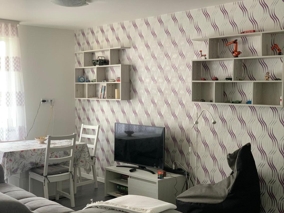 Stefanos Apartament Baia Mare Ngoại thất bức ảnh